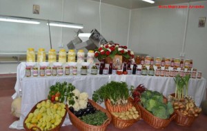 Нови погон за пастеризацију на КиМ 29 9 2016