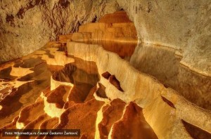 Najlepsa fotografija 29 11 2016