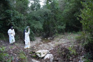 0-02-04-7642dae65414c7082e51841532c400cd34615d14c8c70801ec12f0073c9db4c8_full