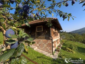 148_z4qorhn3fm_xl_th_off