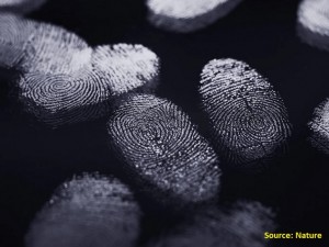 untitled-otisci-prstiju